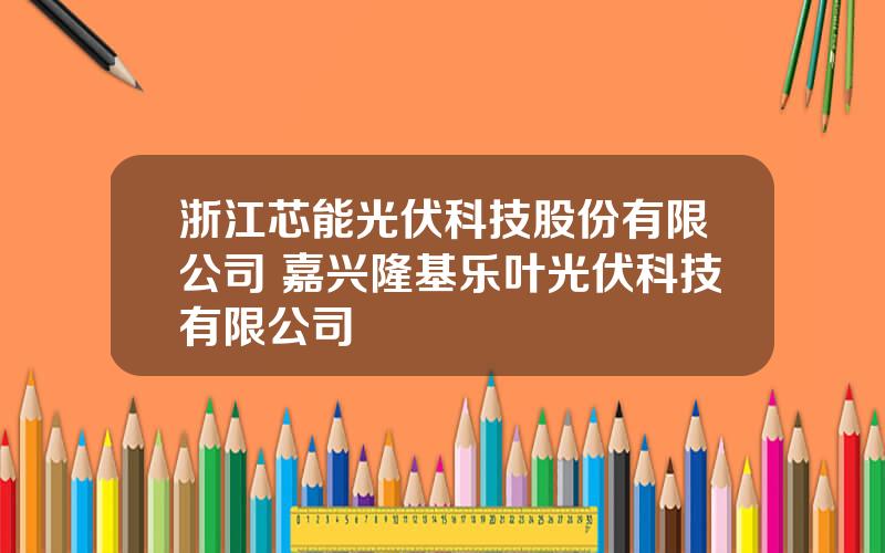 浙江芯能光伏科技股份有限公司 嘉兴隆基乐叶光伏科技有限公司